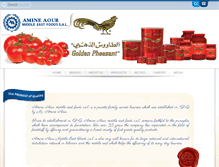 Tablet Screenshot of amineaour.com